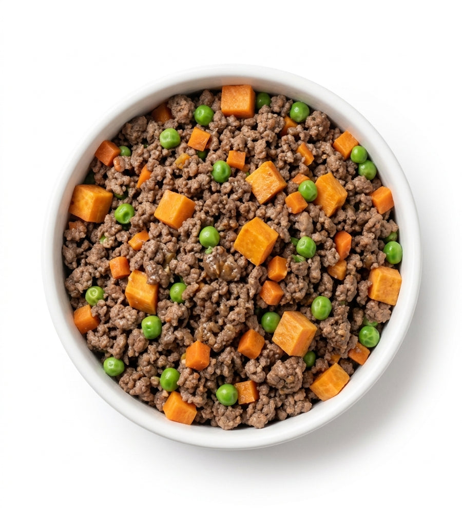 Bowl containing only Dog & Whistle fresh dog food