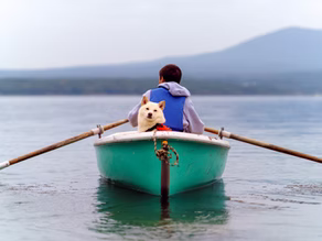 Paws Up for National Pet Day!