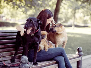 Paws & Appreciation: The Best Mother’s Day Gifts for Dog Moms