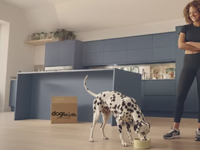 Nourishing with Purpose: Our Commitment to WSAVA Standards