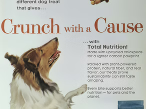 Why Chickpea-Based Pet Treats Are the Future