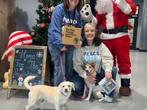 2024 Recap: Celebrating Our Pawsome Bond!