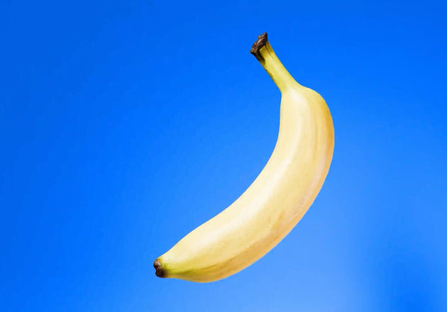 Bananas for a Can Dogs Eat Bananas article