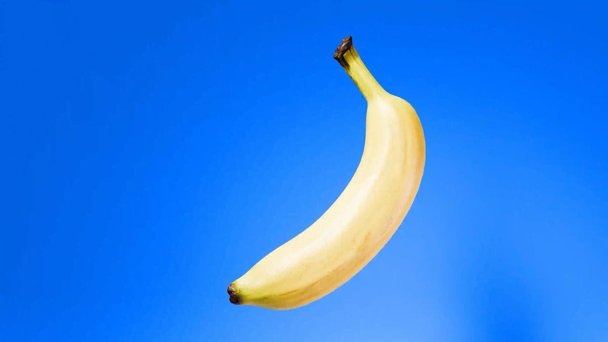 Bananas for a Can Dogs Eat Bananas article