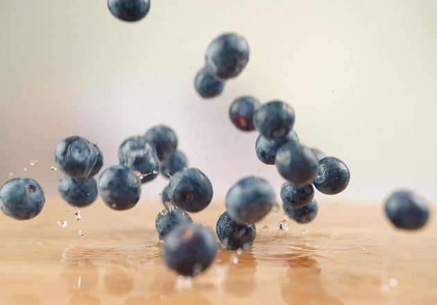 Blueberries for a Can Dogs Eat Blueberries article