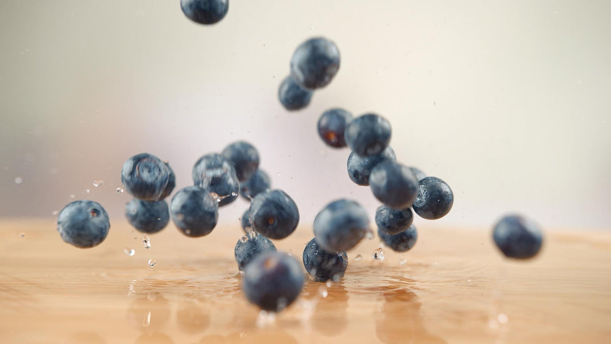 Blueberries for a Can Dogs Eat Blueberries article