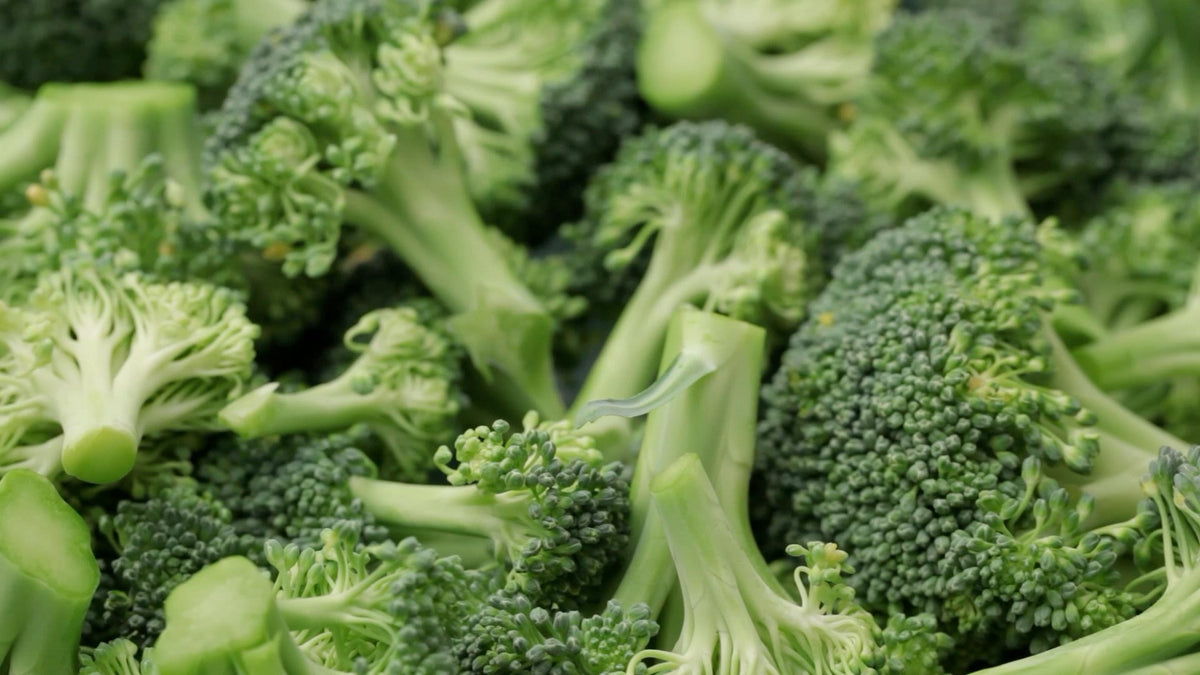 Broccoli for a Can Dogs Eat Broccoli article