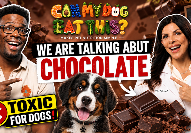 Can Dogs Eat Chocolate? Types, Toxicity & Emergency Response