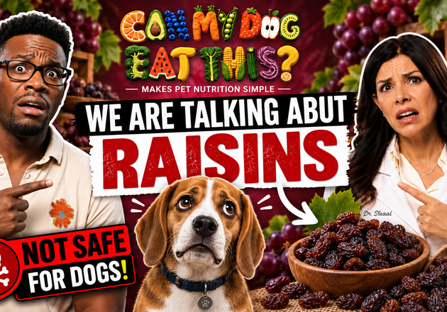 Can Dogs Eat Raisins? Why They're Toxic & What to Do