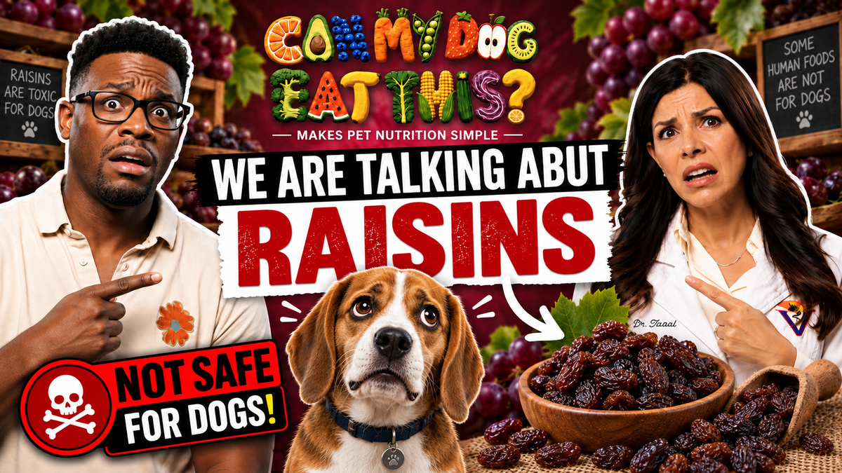 Can Dogs Eat Raisins? Why They're Toxic & What to Do