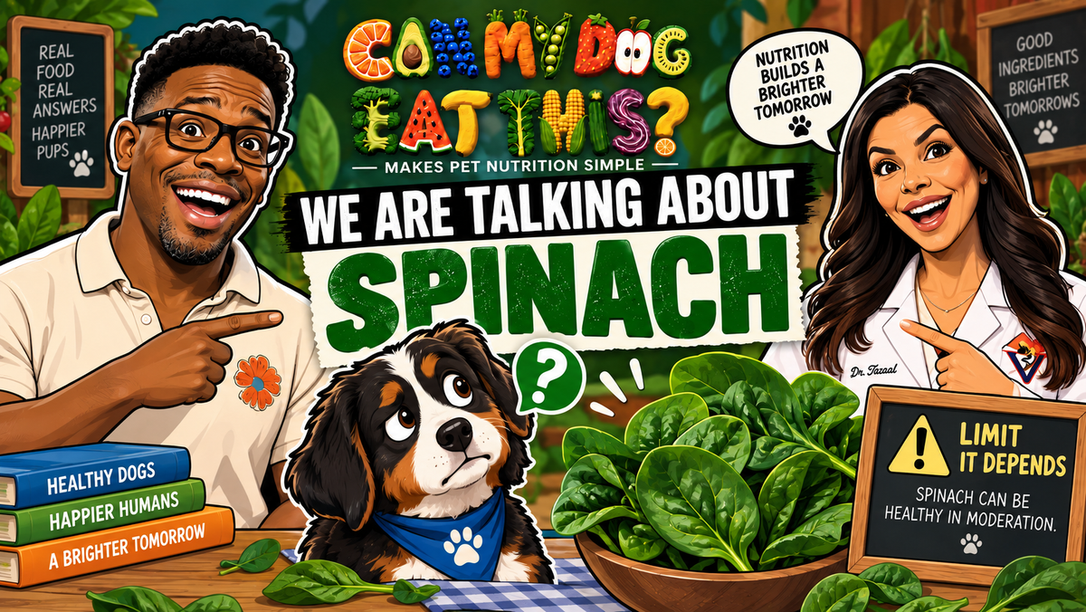 Can Dogs Eat Spinach? Benefits, Risks & Safe Amounts