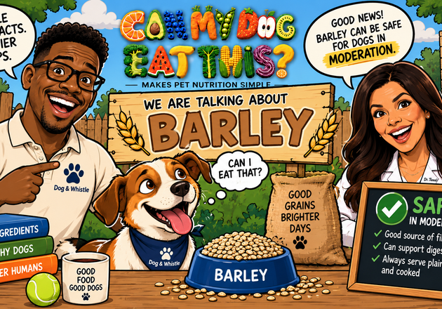 Can Dogs Eat Barley? Preparation & Safety Guide