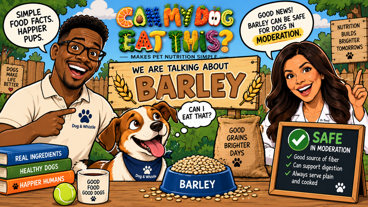 Can Dogs Eat Barley? Preparation & Safety Guide