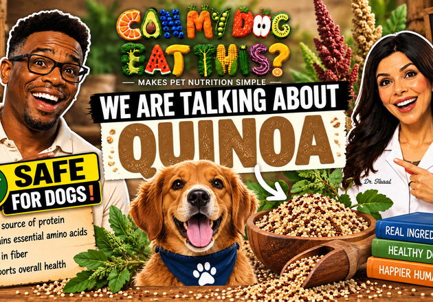 Can Dogs Eat Quinoa? Complete Protein & Safety Guide