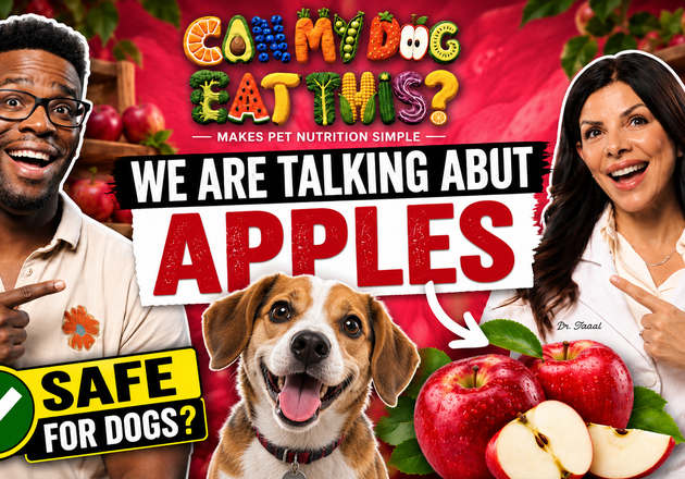 Can Dogs Eat Apples? What Pet Parents Should Know