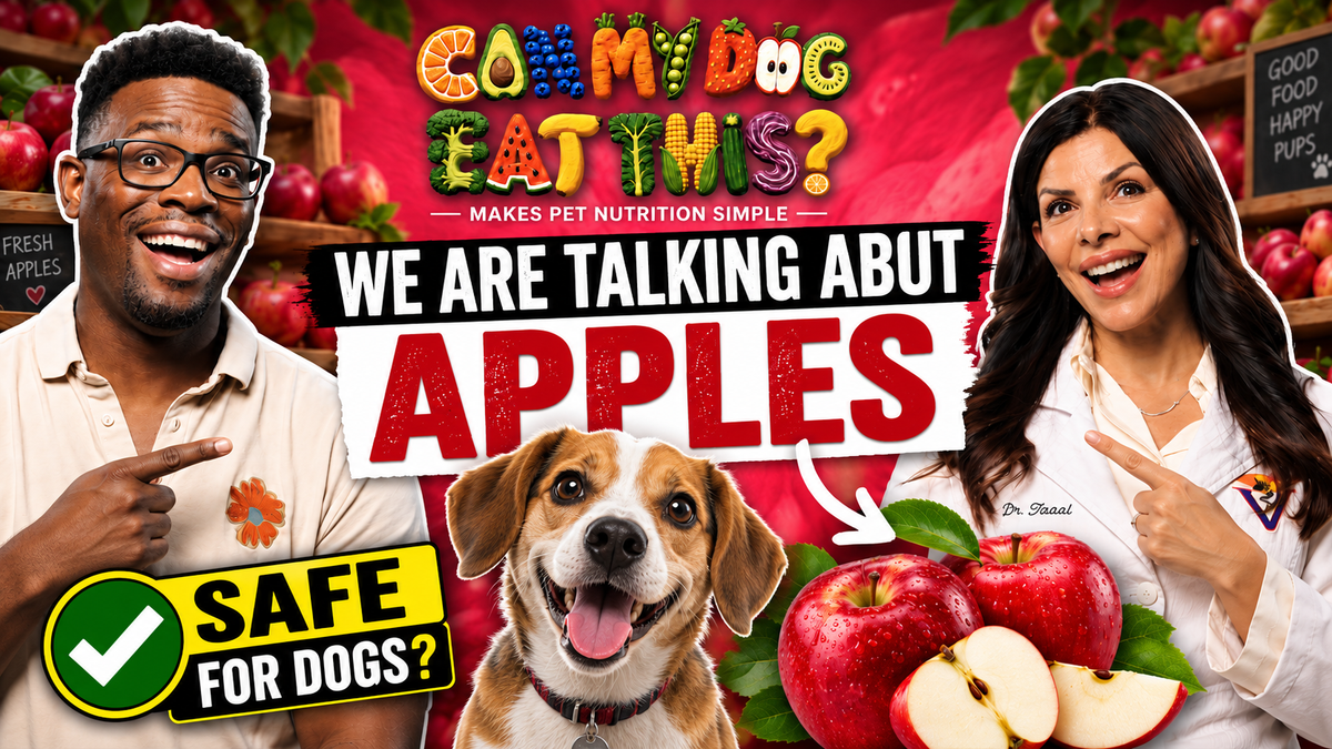 Can Dogs Eat Apples? What Pet Parents Should Know
