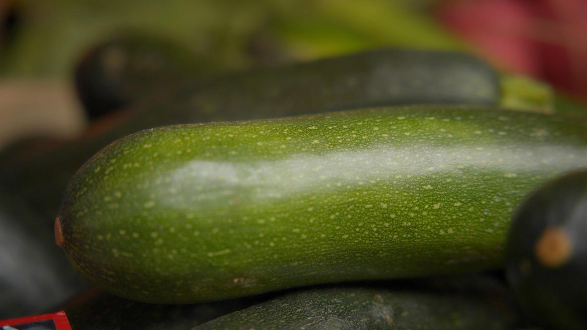 Zucchini for a Can Dogs Eat Zucchini article