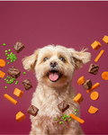 Dog & Whistle Variety Packs