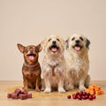 Meal Toppers