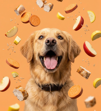 Hen Solo dog treat — ingredients and texture close-up