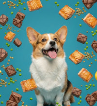 Land & Sea Meal dog treat — ingredients and texture close-up