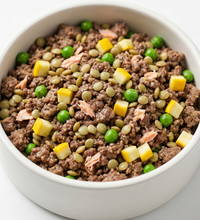 Land & Sea Meal dog treat — lifestyle photo with happy dog