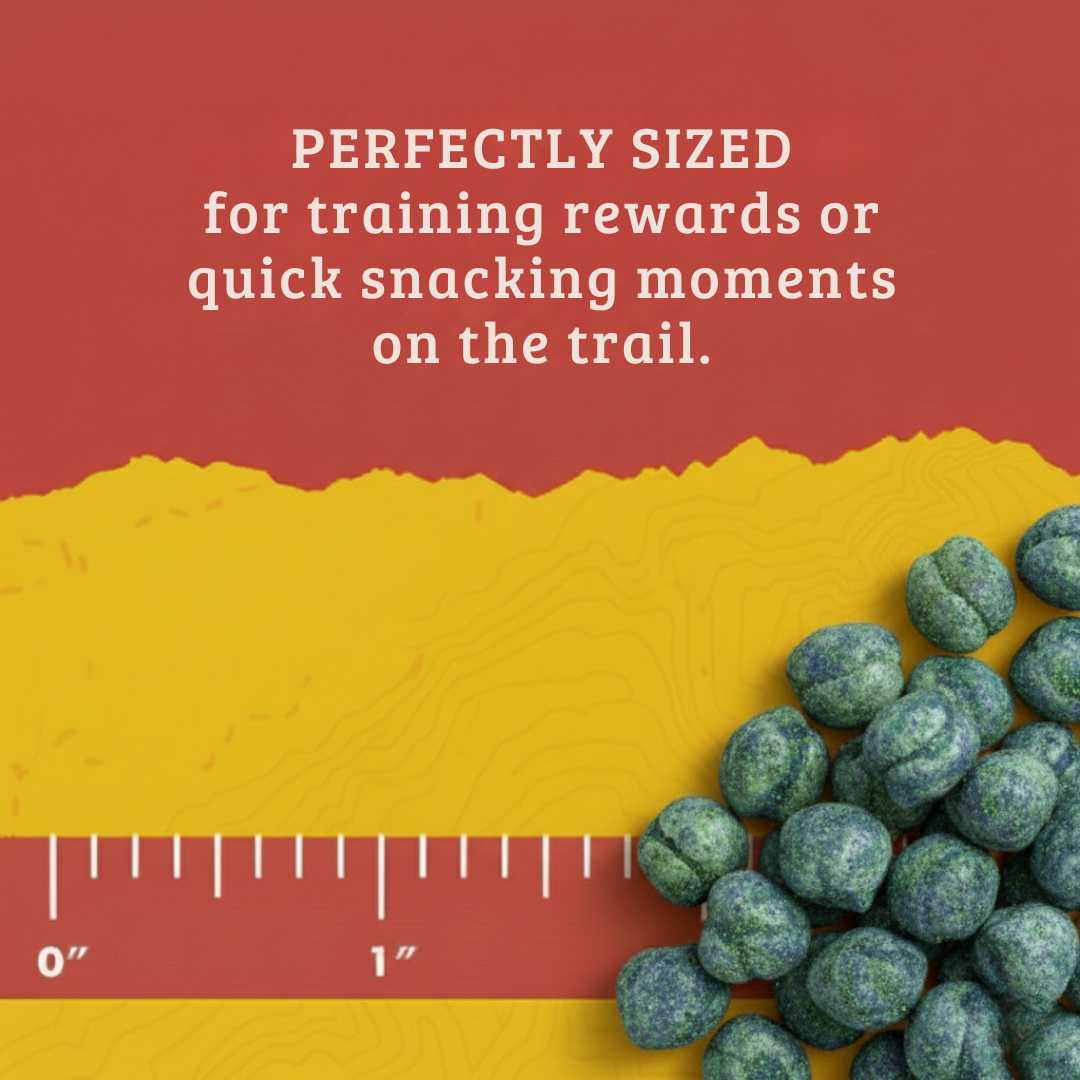 Mint & Blueberry Chickpeas