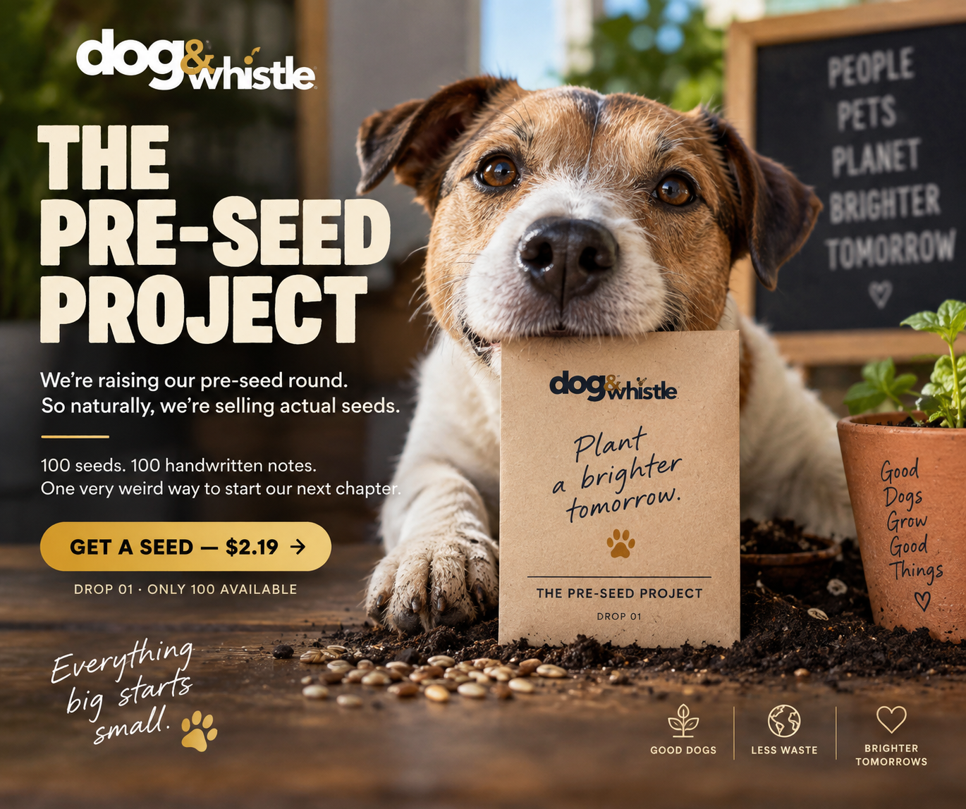 The Pre-Seed Project — Drop 01