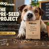 The Pre-Seed Project — Drop 01