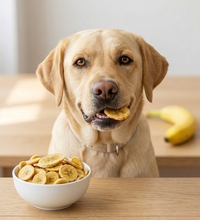Banana Bites dog treat — bag opened showing treat pieces