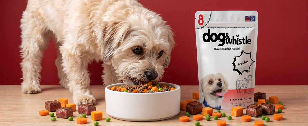 Dog enjoying a bowl beside a Dog &amp; Whistle Sirloin meal pouch