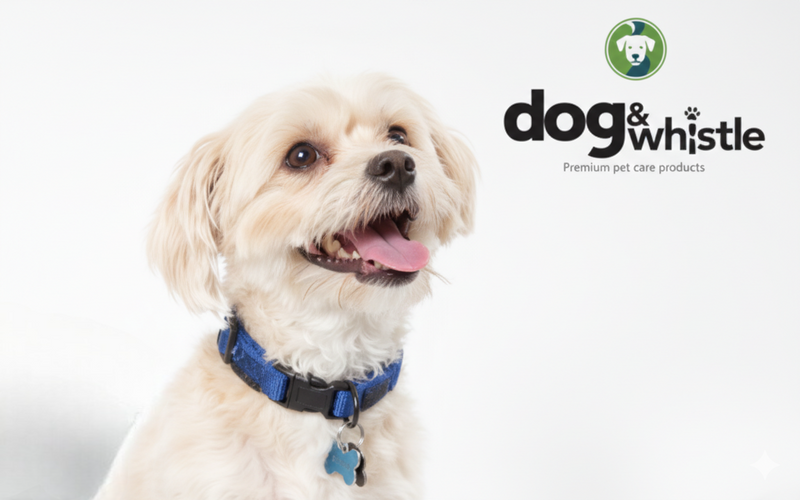 Dog & Whistle Gift Card - sustainable dog treats gift for pet lovers