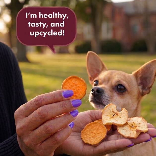 Dog & Whistle Pack Snacks