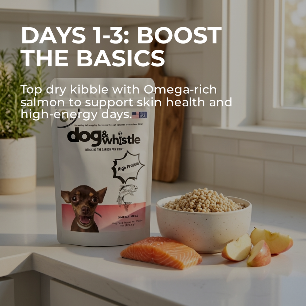 Fresh Dog Meals Starter Pack with assorted fresh dog meals