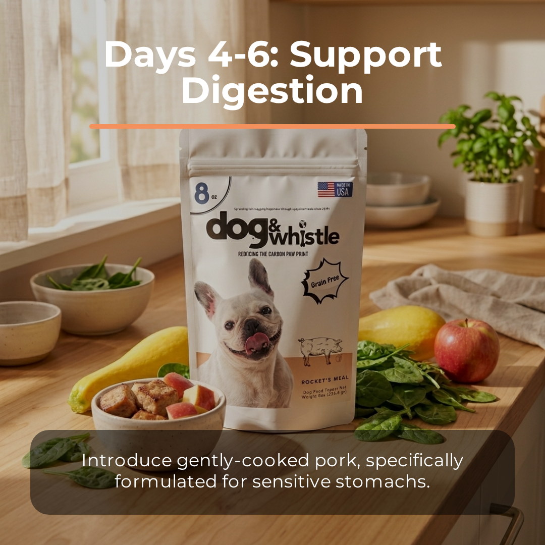 Wet Meal Toppers Starter Pack — 50% Off