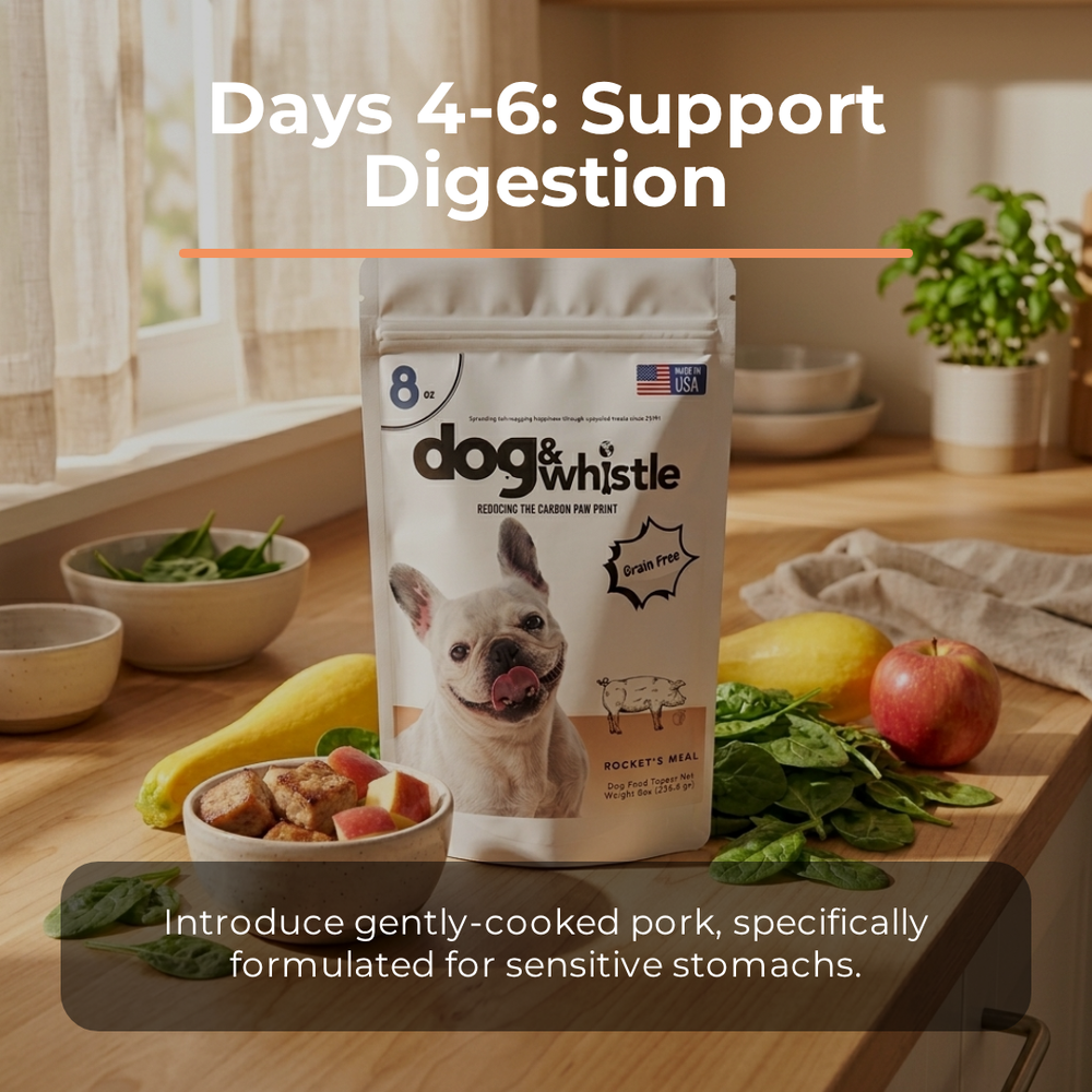 Fresh Dog Meals Starter Pack served in a dog's food bowl