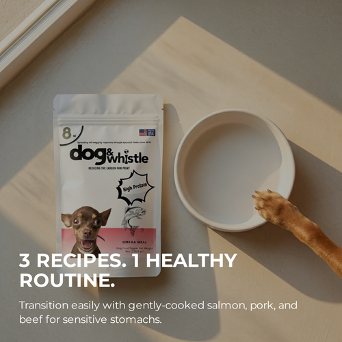 Dog & Whistle Wet Meal Toppers Starter Pack — three fresh upcycled dog meal toppers at 50% off